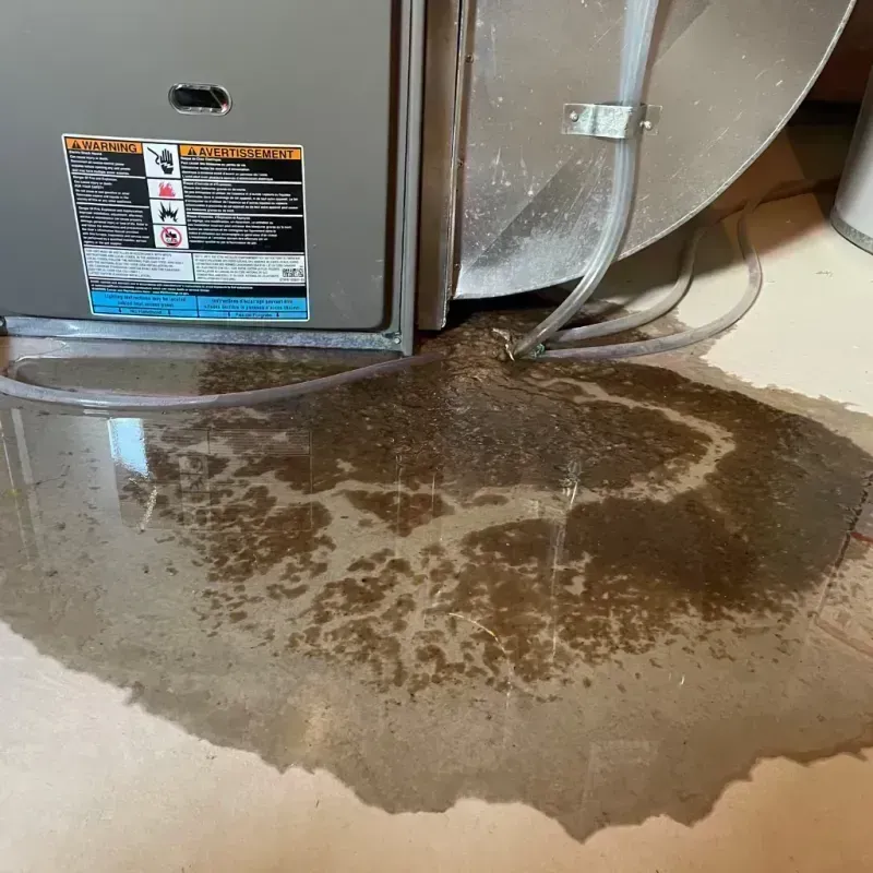 Appliance Leak Cleanup in Markesan, WI